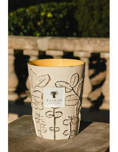 Baobab Collection Folia Calanque