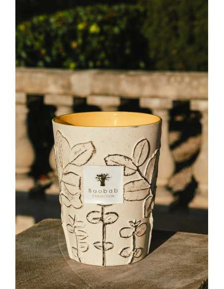 Baobab Collection Folia Calanque