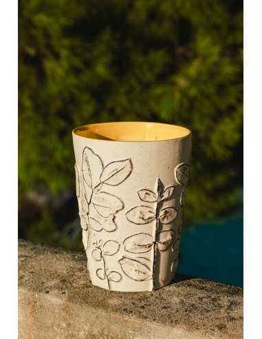 Baobab Collection Folia Calanque