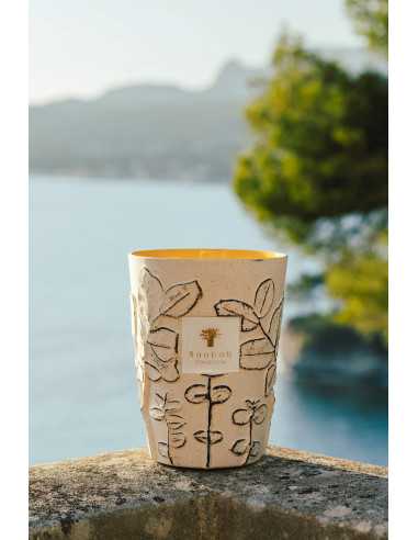 Baobab Collection Folia Calanque