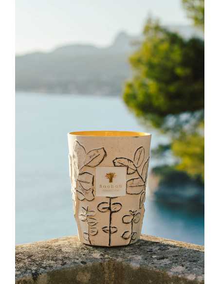 Baobab Collection Folia Calanque