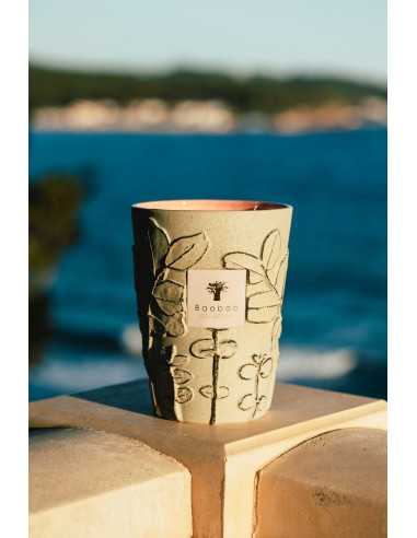 Baobab Collection Folia Maquis