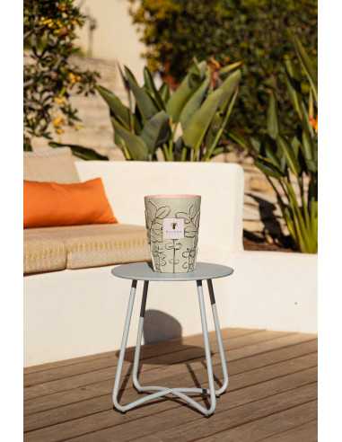 Baobab Collection Folia Maquis