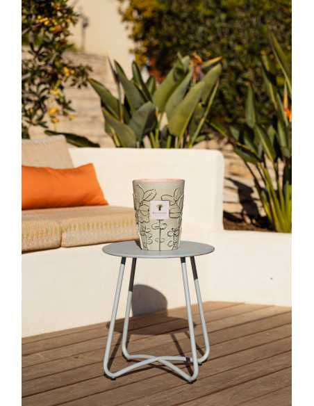 Baobab Collection Folia Maquis