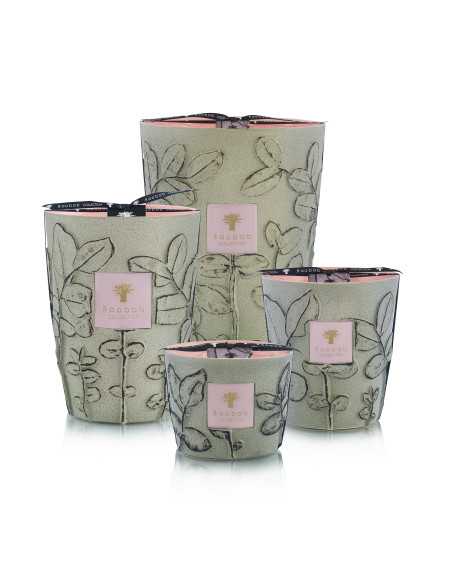 Baobab Collection Folia Maquis