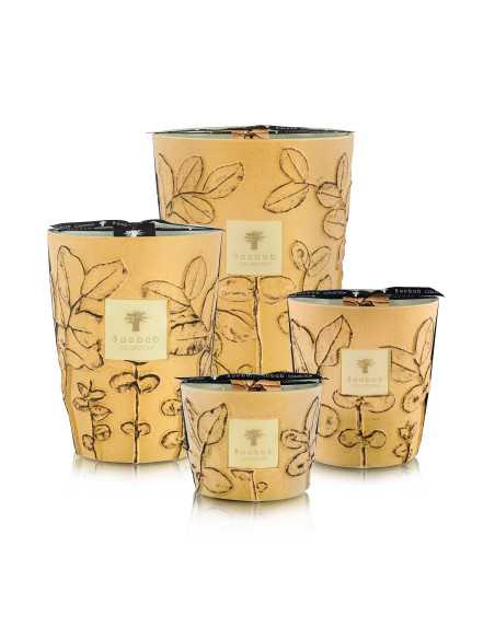 Baobab Collection Folia Garrigue