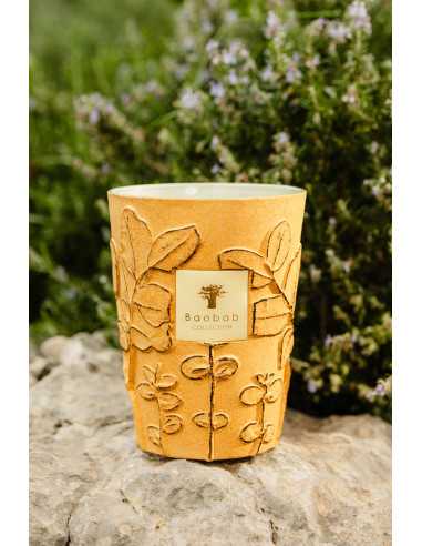 Baobab Collection Folia Garrigue