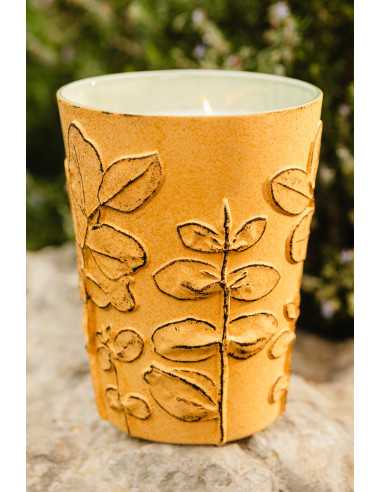 Baobab Collection Folia Garrigue