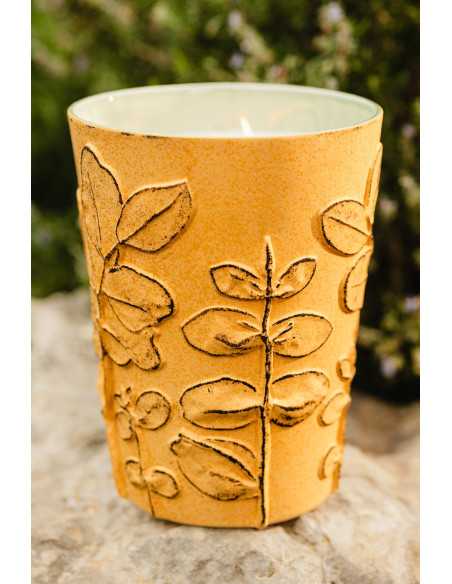 Baobab Collection Folia Garrigue