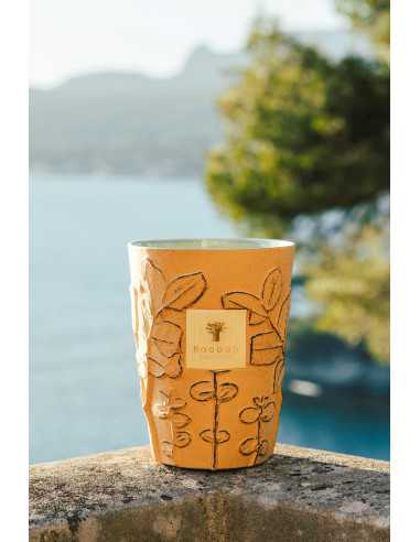 Baobab Collection Folia Garrigue