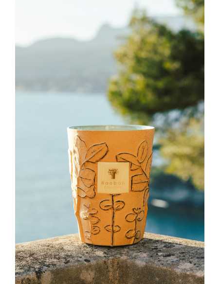 Baobab Collection Folia Garrigue