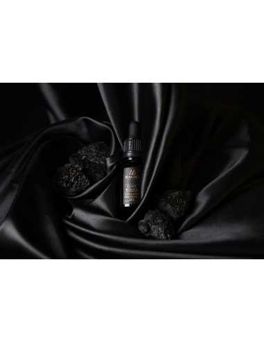 Magma Rocks Diffuser Cool Woods