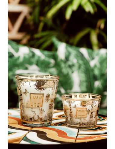 Baobab Collection Tomorrowland 2025