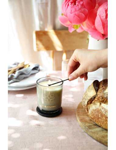 Max Benjamin Candle 210 gr Dodici