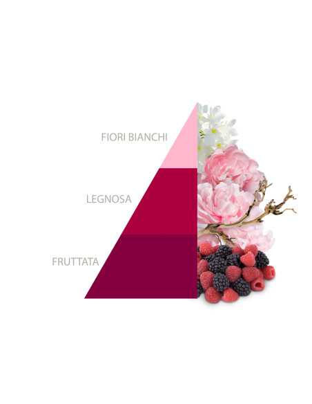 Horomia Spray Ambie Bifase 500 ml Petali di Peonia