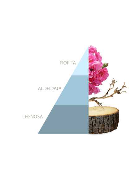 Horomia Sachet de parfum 3 pcs Fresh Cotton