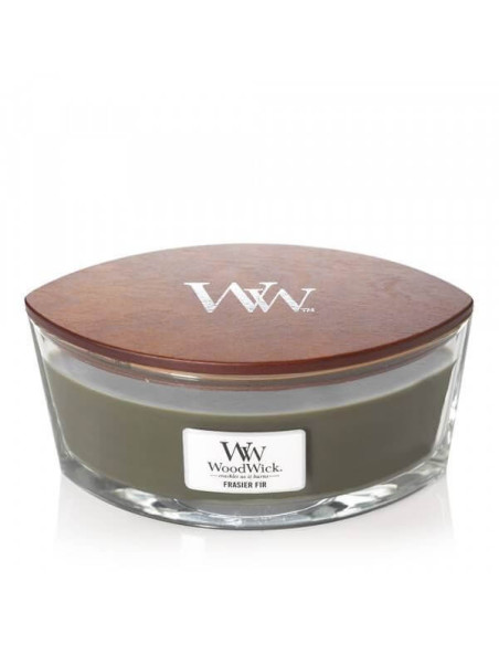 WoodWick Duftkerze Ellipse Frasier Fir