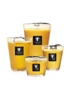 Baobab Zanzibar Spices All Seasons Candela profumata