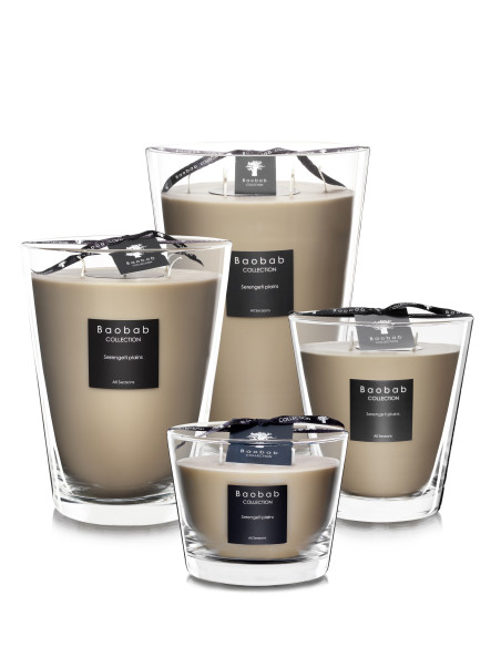 Baobab Serengeti Plains All Seasons Bougie parfumée