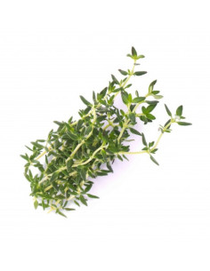 Timo linalol 10 ml (bio) 2