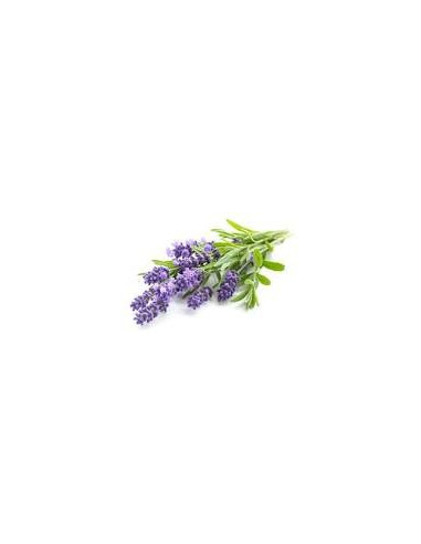 BOLES D'OLOR Lavanda Spray