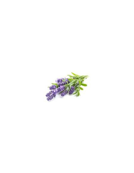BOLES D'OLOR Lavanda Spray