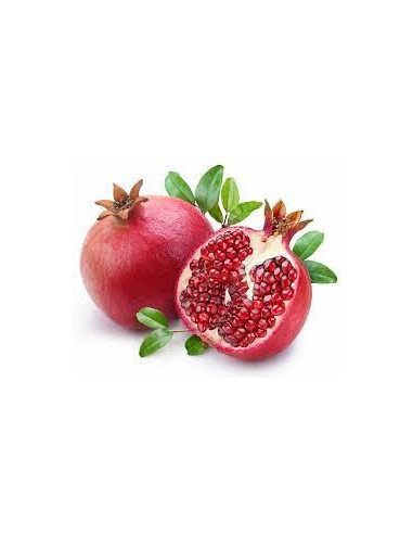 SUAREZ Körpermilch Granatapfel antibakteriell