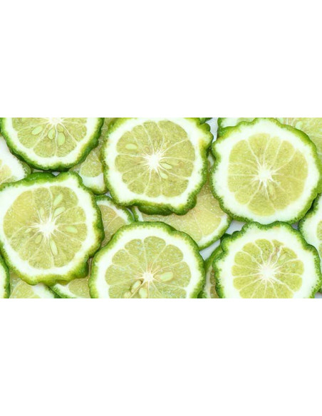 Erbario Toscano Liquid Soap 250 ml Organic Bergamot