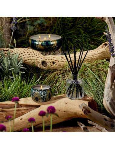 Voluspa Japonica French Cade Lavender 3-Docht-Duftkerze