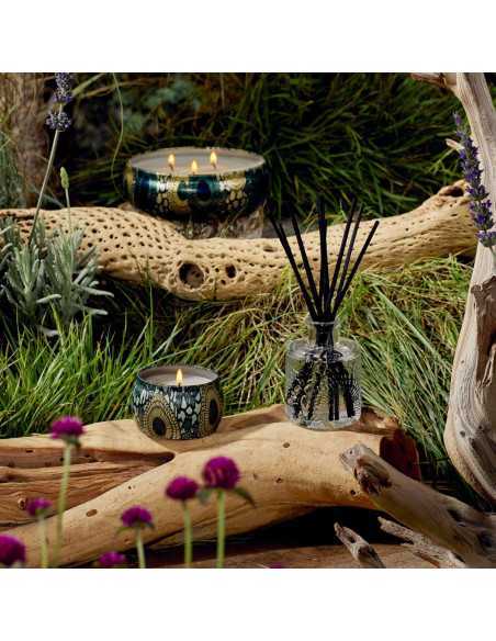 Voluspa Japonica French Cade Lavender 3-Docht-Duftkerze