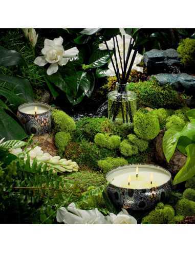 Voluspa room diffuser Yashioka Gardenia