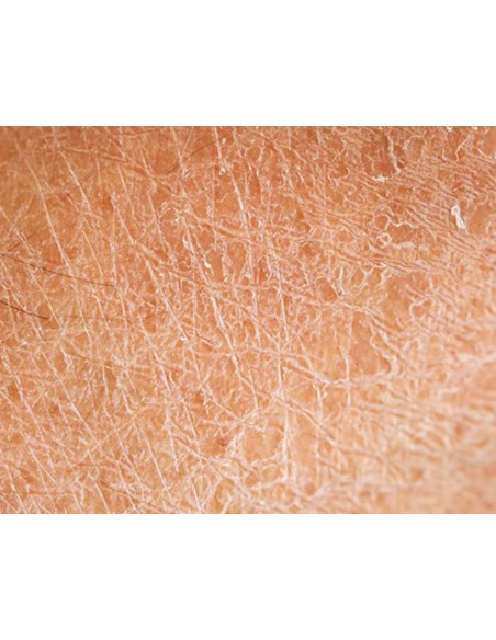 O'Keeffe's Healthy Feet exfoliating in Tube 80 ml