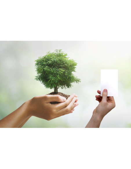 Strisce lavaggio 60 pezzi senza profumo