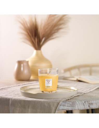 WoodWick Medium Wild Honey