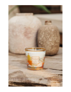 Baobab Collection Max One My First Saint Tropez 2
