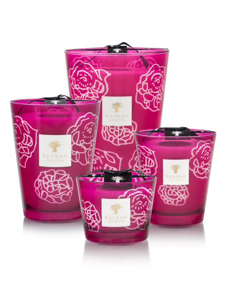 Baobab Collection Collectible Roses Burgundy