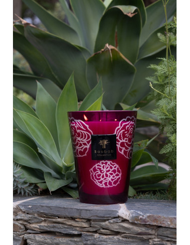 Baobab Collection Collectible Roses Burgundy