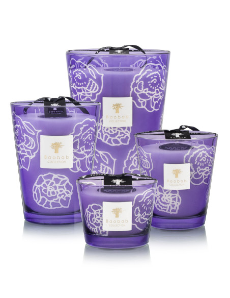 Baobab Collection Collectible Roses Dark Parma
