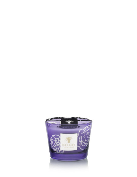 Baobab Collection Collectible Roses Dark Parma