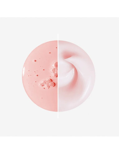 Senso Naturale Solid Serum Hydrating