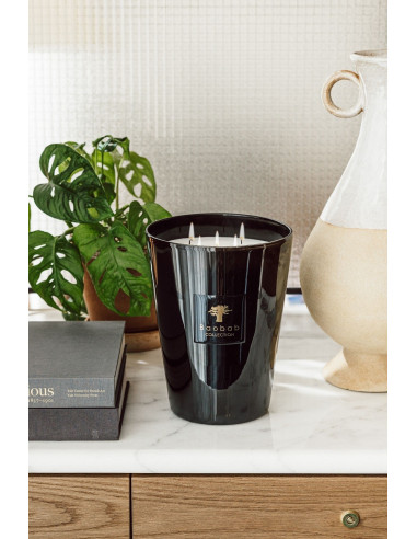 Baobab Encre de Chine Les Prestigieuses Bougie parfumée