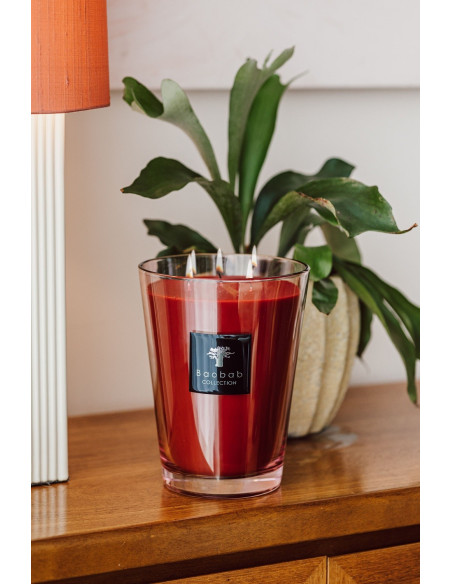 Baobab Masaai Spirits All Seasons Bougie parfumée