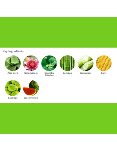 Holika Aloe 99% Soothing Gel 250 ml