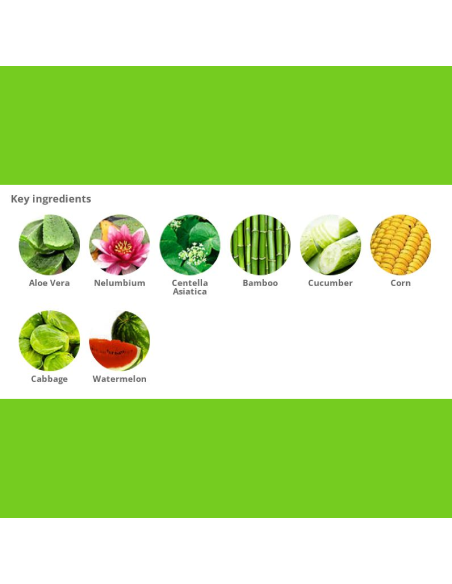 Holika Aloe 99% Soothing Gel 250 ml