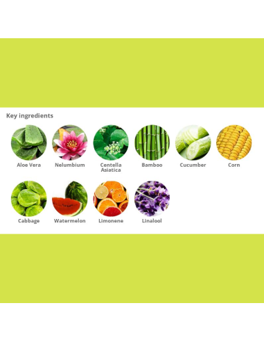 Holika Aloe 92% Shower Gel 250 ml