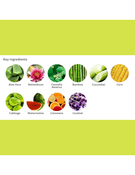 Holika Aloe 92% Shower Gel 250 ml