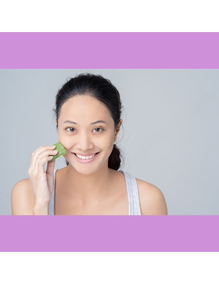 Holika Jeju Aloe Face and Bodycare Set