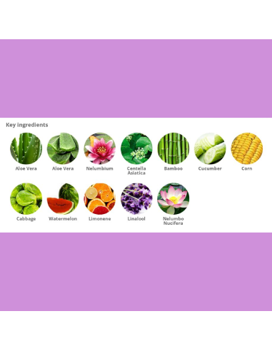 Holika Jeju Aloe Face and Bodycare Set