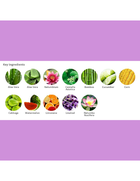 Holika Jeju Aloe Face and Bodycare Set