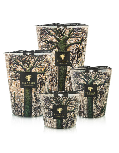Baobab Collection Sacred Trees Kani